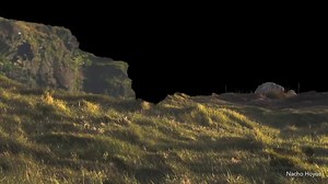 49K views · 393 reactions | El próximo 30 de septiembre a las 19h...