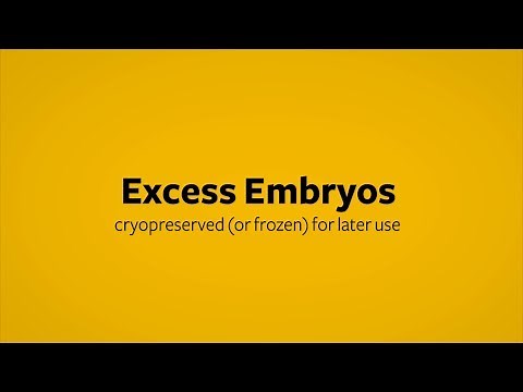 In Vitro Fertilization Embryo Cryopreservation