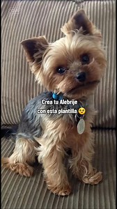 69K views · 18K reactions | Turn pets into AI art | AI Lab Generator | Facebook