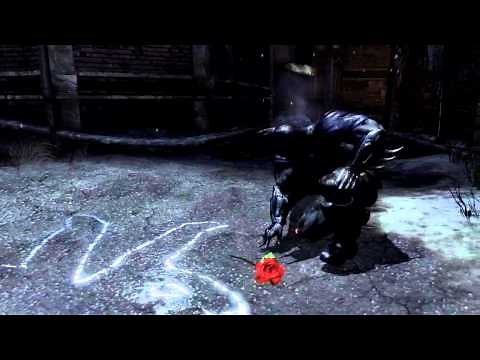Batman: Arkham City - Remembrance