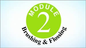 Brushing and Flossing Video - Oral Health - Health Canada