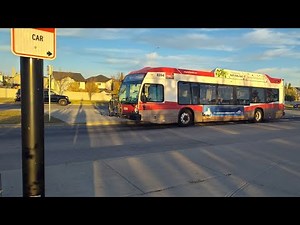 CALGARY TRANSIT: McKenzie Towne Bus Terminal (full terminal tour)