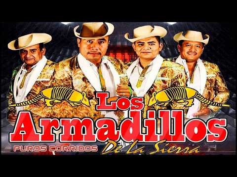 Los Armadillos De La Sierra ✅ Puros Exitos