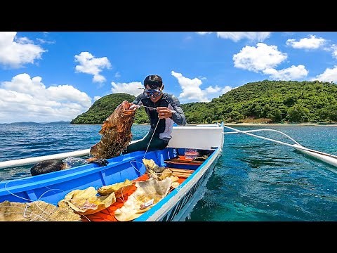 Jackpot sa malalaking Brown-marbled grouper gamit ang Taklobo | Catch and Sell