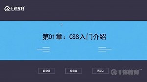 1_1_css是什么呢-1