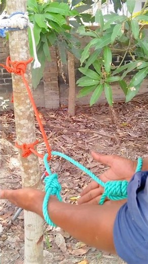 Can You Escape This Rope Tie? Watch This! 😲 #RopeEscape #SurvivalSkills #LifeHacks