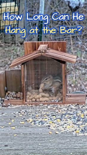 Peanut Bar Drama 🥜🐿️ | “Last Call!” 😂
