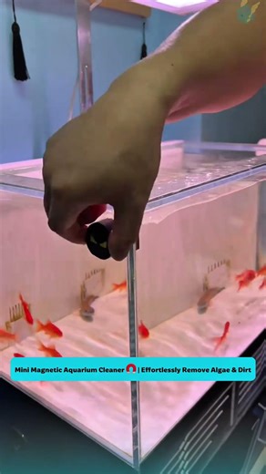 Mini Magnetic Aquarium Cleaner | Effortlessly Remove Algae & Dirt