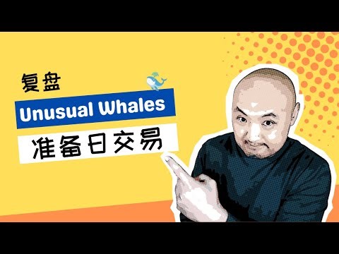 🪅结合unusual whales做日交易计划 | 美股日内交易复盘 | 美股实战选股交易策略 | unusual whales使用心得