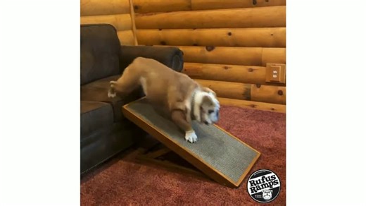 Adjustable Wooden Dog Ramp | Modern Pet Ramp for Couch or Bed | Non-Slip Dog and Cat Steps | Foldable Pet Stairs