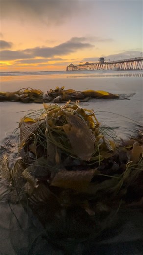 Imperial Beach Pier | Imperial Beach Pier