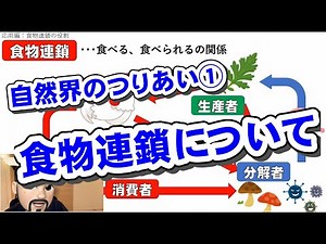 【中学 理科 ３年 生物】［自然界のつりあい］①-「食物連鎖」について-