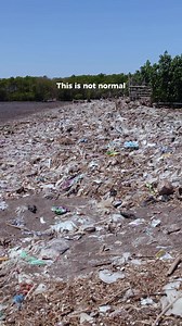 Take the Clean Ocean Pledge to Protect Oceans and Shorelines