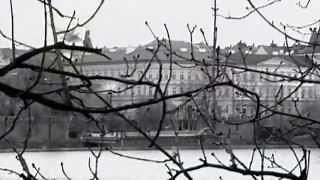 Jiří Schelinger - Holubí dům