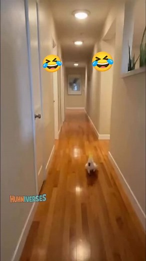 Etwas lustiges #lustig #lachen #prank #lustigerreel #witzig | lustig bob