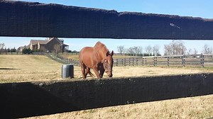 Creator man. | Old Friends