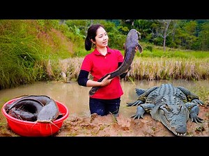 Harvesting Giant Mutant Fish Goes To Market Sell - Jelly Cooking | Hana Daily Life 686 | Farm Life