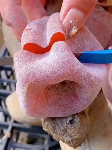 Colorful Fruit Cutting ASMR Experience