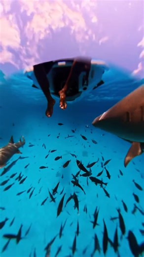 The Yamaha FX Series is built for riders who don’t just chase horizons — they create them. With power that thrills, comfort that carries you farther, and reliability that never quits, the FX turns every ride into a story worth telling. Go explore. Go further. Go Yamaha. @a_alsan_ (Instagram) #yamahawaverunners #FXSeries #adventure | Yamaha WaveRunners