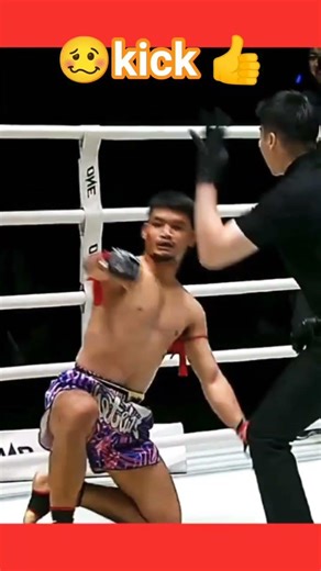 kick boxing #boxing #quick #knockout #punch #mini #street