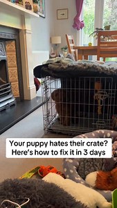 Here’s how to fix your crate training struggles in 3 simple steps. I know how hard crate training can be but with patience and consistent training you can do it. What is your biggest crate training struggle? For more support, download my free crate training guide - link is in my bio. #puppies #puppytrainingtips #cratetraining | Doodle Doggies