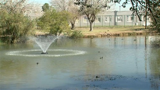 El Paso County asked to move forward with Exigo Architecture for Ascarate Park Renovations