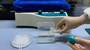 Isolation and Analysis of Traceable and Functionalized Extracellular Vesicles from the Plasma and Solid Tissues