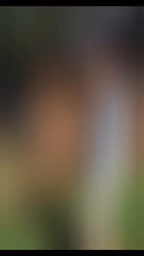 Freedom Call Official on Reels