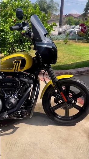 40L Lamellar Raven Extra Large Painted Motorcycle Hard Saddlebags for Harley Softail Street Bob FXBB