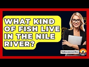 What Kind Of Fish Live In The Nile River? - The Documentary Reel