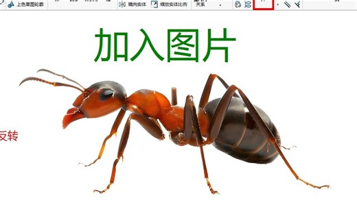 solidworks 加入图片