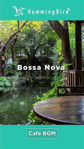いいことが起きそうなカフェボサノバBGM🌿 #bossanova #jazz #cafe #morning #作業用 #hummingbirdchill