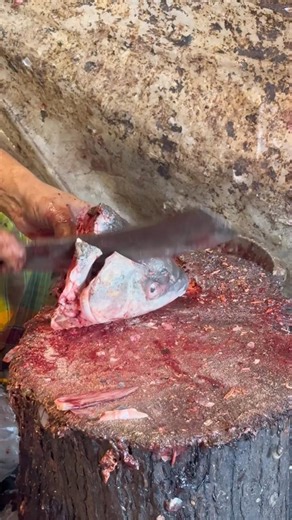Big Fish Head Cutting #shortvideo