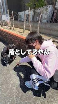 クレープアイス作ってみた#クレープ #らゆま