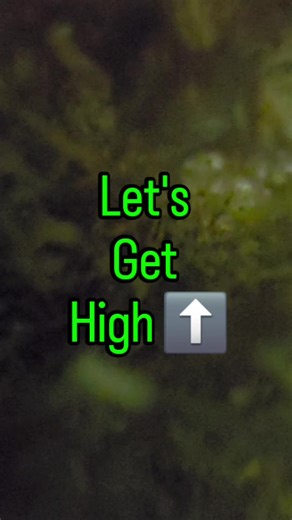 🏡✨ Ceiling Heights 101 (Why It Matters!) ✨🏡 When buying a home, ceiling height can change how a space feels, how you live, and even how well it resells 👀👇 ⬆️ Most Popular: 9–10 ft Ceilings ✔️ Bright & open feel ✔️ Better airflow natural light ✔️ Appeals to most buyers → strong resale value 💰 ✔️ Easier to decorate (fans, lighting, cabinets) ⬇️ Least Popular: 8 ft Ceilings ➖ Can feel smaller or darker ➖ Less wall space for tall cabinets & décor ➖ Usually lower resale appeal (but still budget-