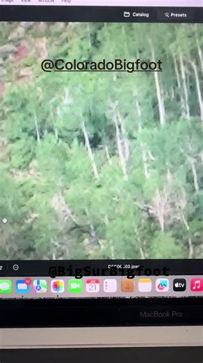 Big Sur Bigfoot (@bigsurbigfoot)’s videos with original sound - Big Sur Bigfoot