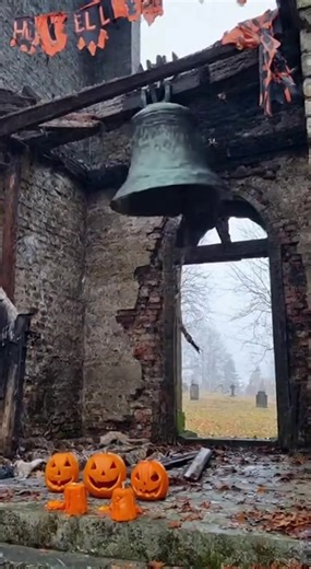 🎃 Happy Halloween! 🎃 Wishing everyone a spooktacular night filled with treats, tricks, and maybe a little mischief! Whether you're carving pumpkins, handing out candy, or dressed up in your best costume, hope your Halloween is frightfully fun! 👻🕷Stay safe out there and enjoy the magic of the night! ✨ #Halloween #HappyHalloween #SpookySeason #TrickOrTreat #Halloween2025 #SpookyVibes #HalloweenNight #October31 #HalloweenFun #Boo | Dora Vega