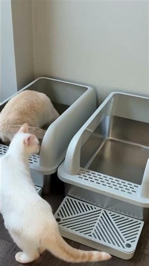 Enclosed Stainless Steel Cat Litter Box with Lid