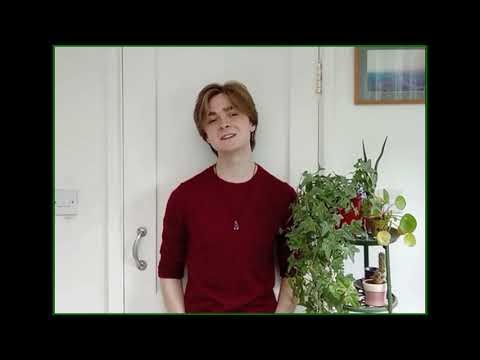 Plant Pathology Videos, Summer Bursary 2025 - Edward Holtom