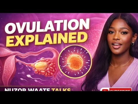 Ovulation Explained: What Happens When the Ovary Releases an Egg