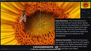 【中字】Topaz Gigapixel AI图像智能处理软件V7版 新功能说明