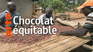 Documentaire | Chocolat : le commerce équitable est-il possible ?