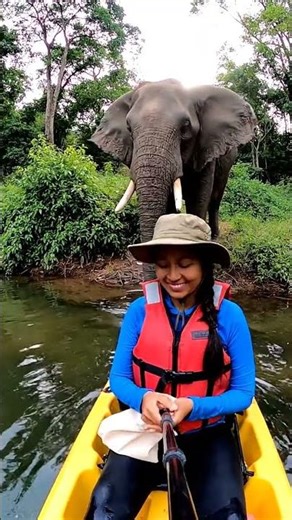 Kayaker Shares Snacks With Thirsty Elephant 🐘