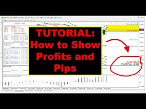 [TUTORIAL] iMarketsLive IML Forex Training | How to Show Profits and Pips!