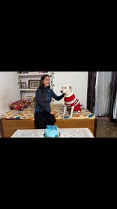 200k Complete 😍🤗 Part 9 | Pankaj Tiwari