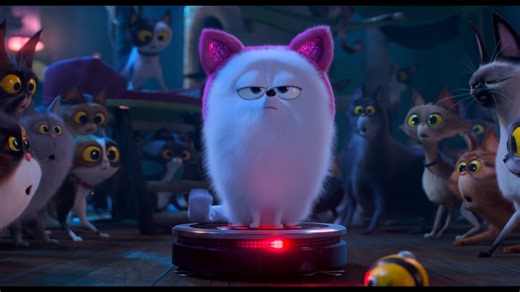 11K views · 48 reactions | 愛するマックスから預かっていた"ミツバチ君"を取り戻すため、猫に扮したポメラニアンのギジェットが猫だらけのお家に潜入 すると、なぜか"猫の女王"として崇められる事に #ペット2 #TheSecretLifeofPets2 #映画 #film #アニメ #anime #ネトフリ #ネットフリックス #netflix | Netflix | Facebook