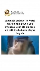 🔍 What’s really going on? 💭 Is it a conspiracy, or just that obvious? 🎭 Not from Disney—this is real life. Ready to uncover the truth? Click the link in our b!0 Follow @firstworldcomic for more! #wokememes #worldwar2 #woke #liberals #viral #instagram #insta | Firstworld Comic