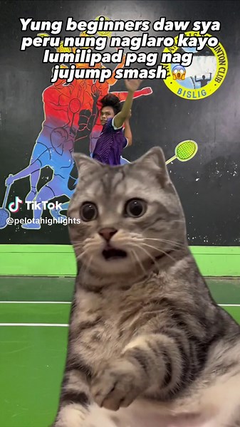 Pelota Highlights on TikTok