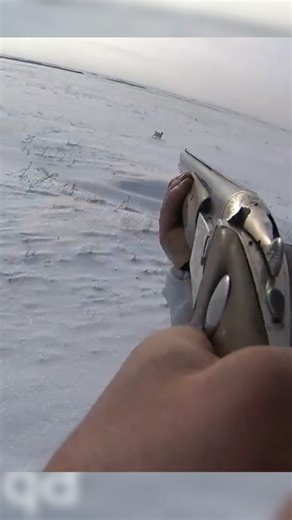 winter snow unbelievable rabbit hunt #hunting#rabbit#snowwhite #winter#hunthowdown#animal