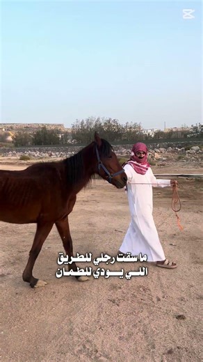 ٢٩ مارس، ٢٠٢٦